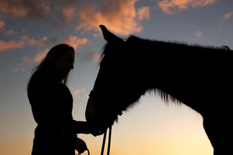Bangkok: Khaoyai Horseback Riding with Dinner & Transfer - Who Will Love This Tour?