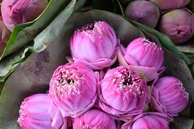 Bangkok Lotus Fields, Orchid Farm, and Flower Market Tour - Practical Details and Value