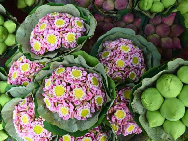 Bangkok: Lotus Fields, Orchid Farm, and Flower Market Tour - Transport & Timing