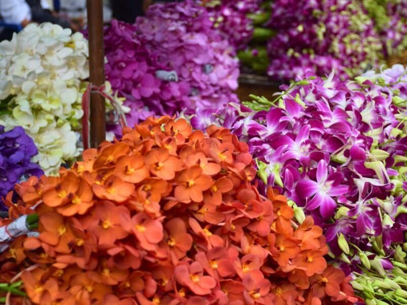 Bangkok: Lotus Fields, Orchid Farm, and Flower Market Tour - Final Thoughts: Is This Tour Worth It?