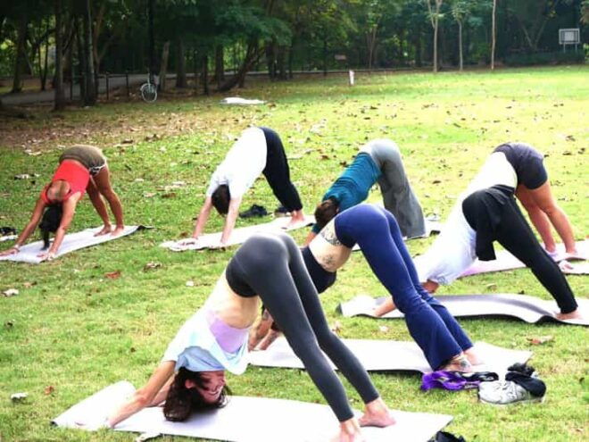 Bangkok: Lumpini Park Yoga Experience - Class Details and Duration