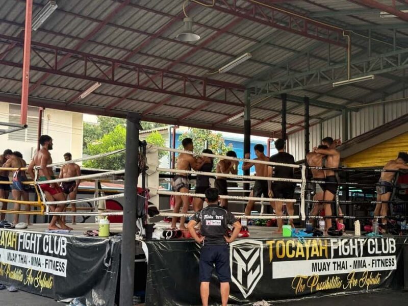 Bangkok: Muay Thai Training Experience in Professional Gym - Good To Know