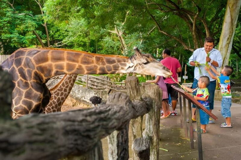 Bangkok/Pattaya: Khao Kheow Zoo Private Tour with Pickup - The Experience: What to Expect on Your Khao Kheow Zoo Private Tour