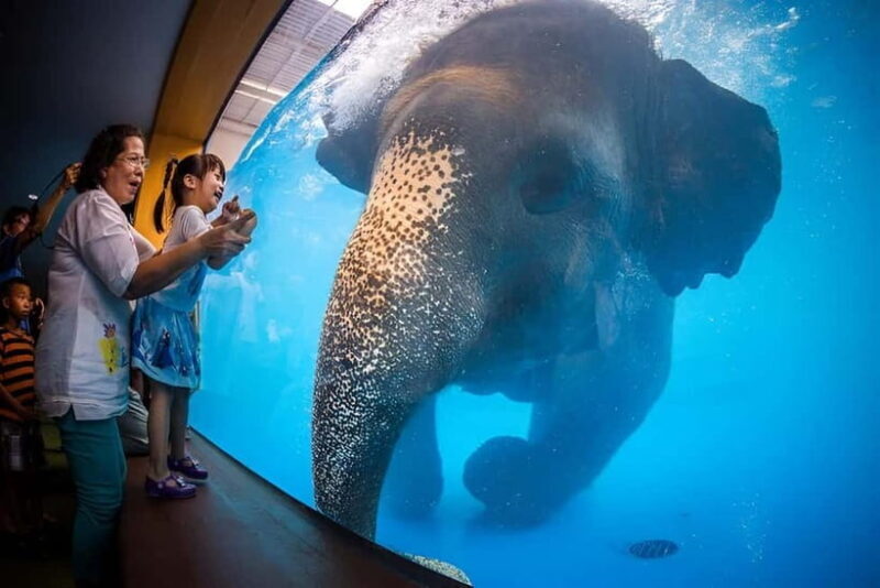 Bangkok/Pattaya: Khao Kheow Zoo Private Tour with Pickup - Final Thoughts: Is This Tour Worth It?