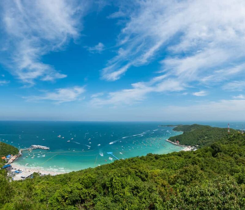 Bangkok: Pattaya Private Day Tour with Sanctuary of Truth - The Sum Up: Is This Tour Right for You?