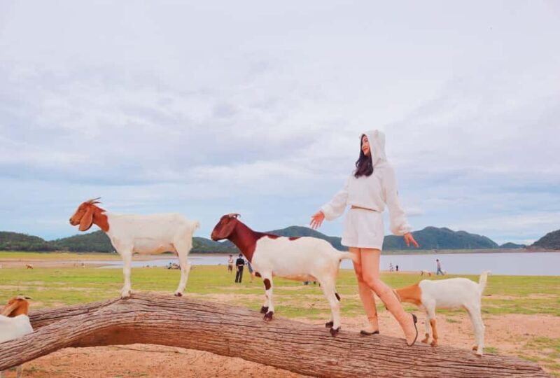 Bangkok: Pranburi Dam, Goat Feeding, and Lunch Day Trip - Good To Know