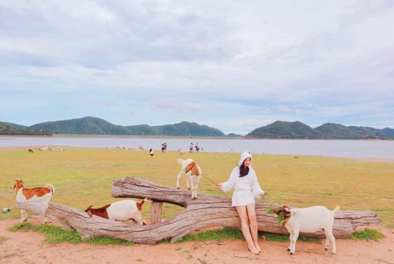 Bangkok: Pranburi Dam, Goat Feeding, and Lunch Day Trip - Scenic Pranburi Dam