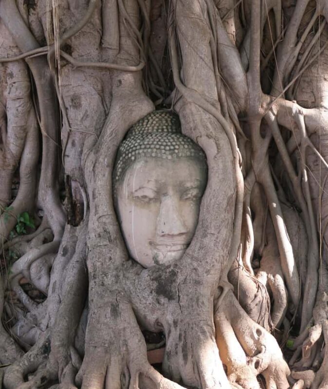 Bangkok: Private Ayutthaya UNESCO Heritage Tour - Authentic Experiences and Review Highlights  