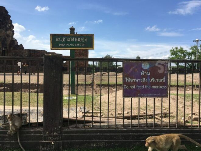 Bangkok: Private Car Hire to Lopburi the Monkey City - Positive Traveler Reviews