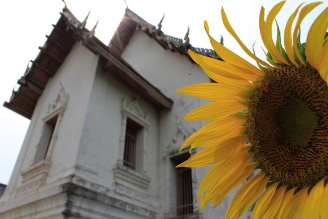 Bangkok: Private Car Hire to Lopburi the Monkey City - Convenient Pickup and Private Group Experience