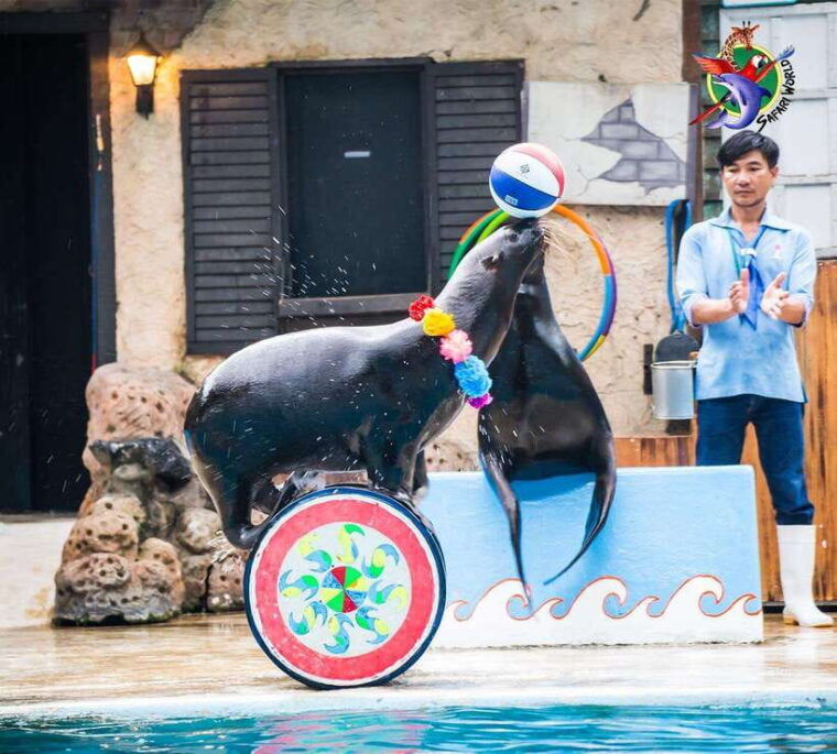 Bangkok: Private Family Tour to Safari & River Dinner Cruise - Safari World Experience