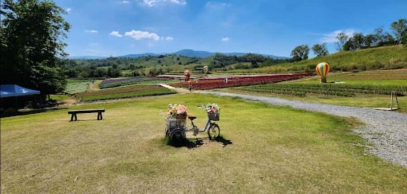 Bangkok: Private Khao Yai Day Tour - Good To Know