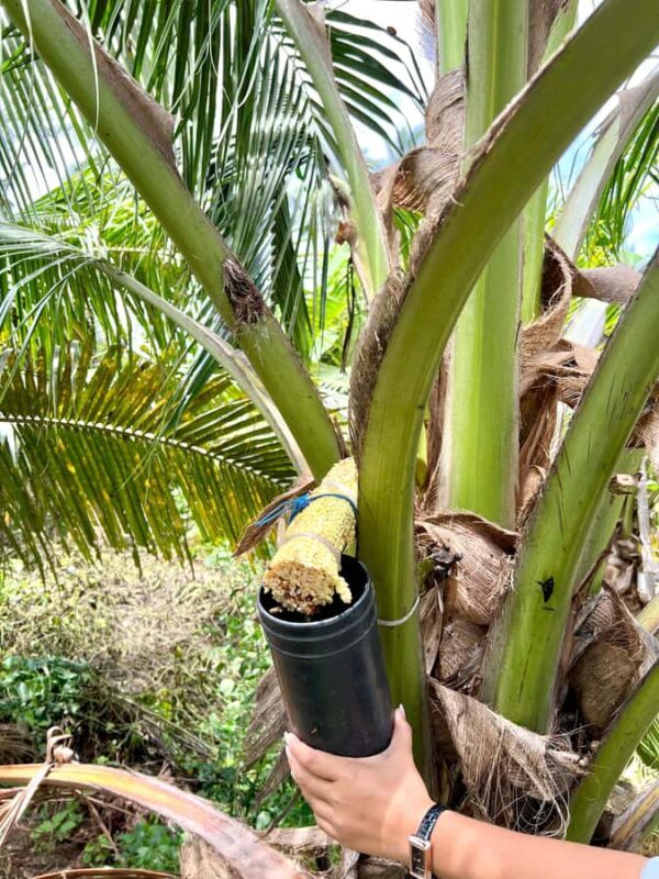 Bangkok: Private Railway & Floating Market with Paddle Boat - Frequently Asked Questions  