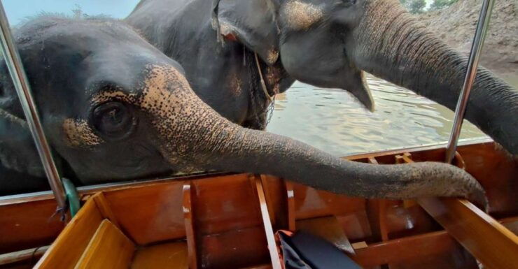 Bangkok: Private Trip to Ayutthaya Temples & Night Market - Booking Details