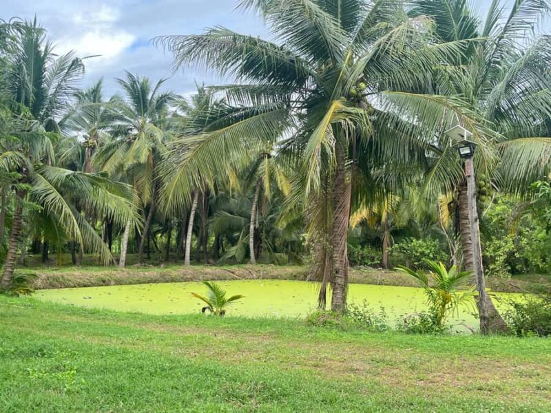 Bangkok: Railway Market, Floating Market, and Boat Tour - Who This Tour Is Best For