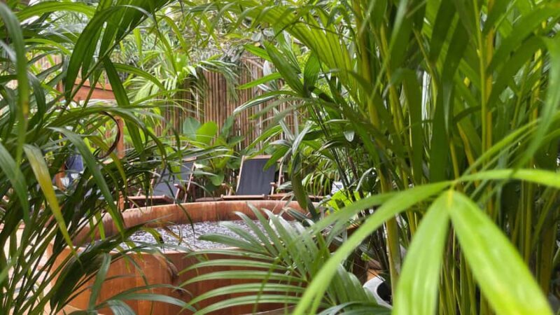 Bangkok: Reset Day A Calm, Fully Taken-Care-Of Day - What to Expect from a Fully Careful Reset Day in Bangkok