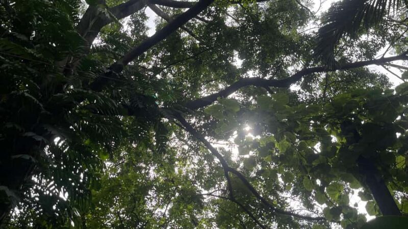 Bangkok: Reset Day A Calm, Fully Taken-Care-Of Day - FAQ