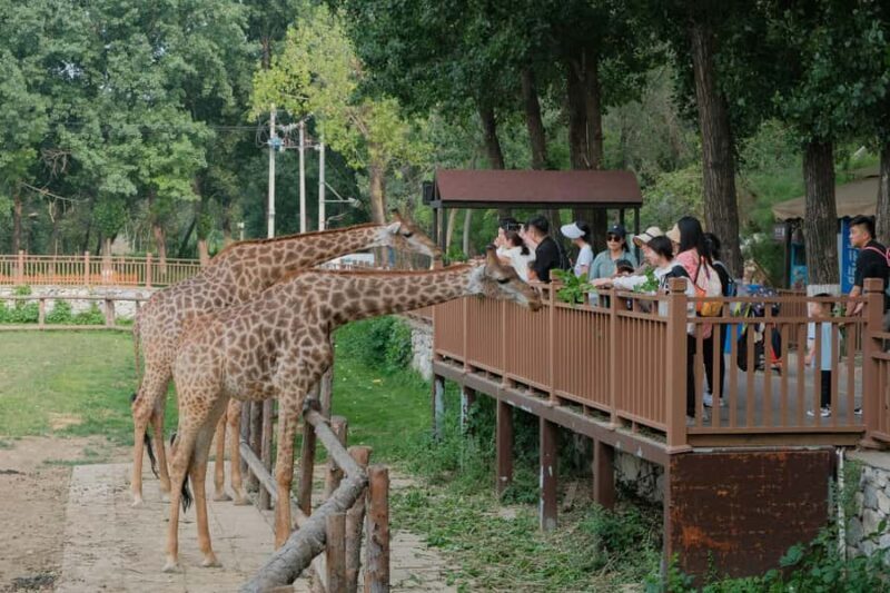 Bangkok Safari & Marine Park - Authentic Insights from Reviews
