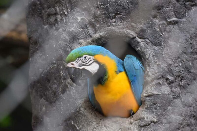 Bangkok Safari & Marine Park - The Sum Up