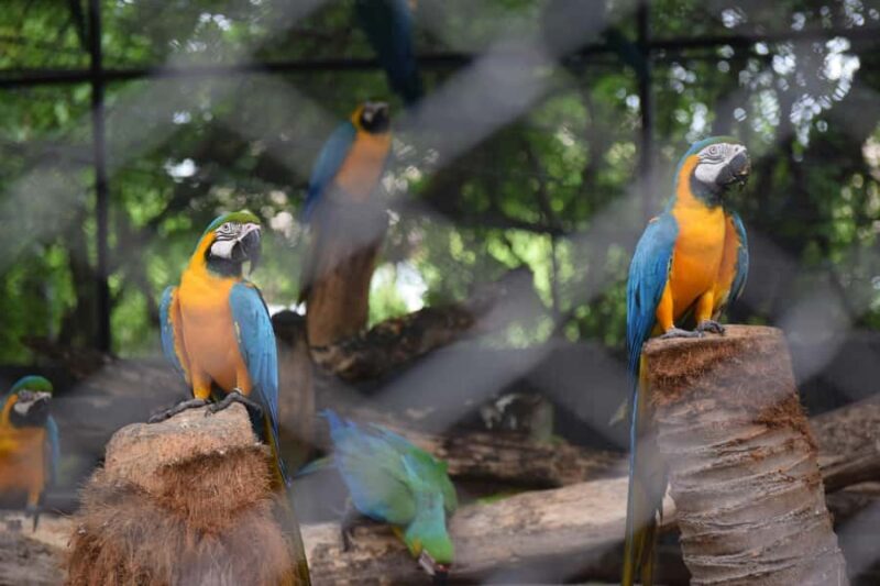 Bangkok Safari & Marine Park - Good To Know