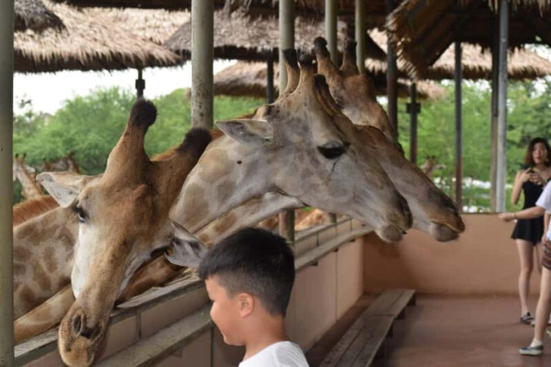 Bangkok Safari & Marine Park - Final Thoughts