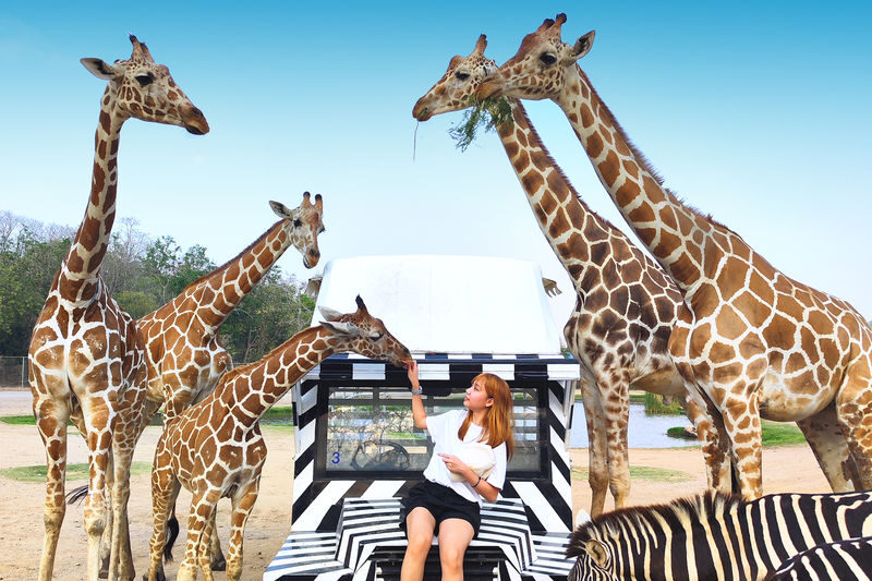 Bangkok Safari Park Kanchanaburi Full-Day Private Tour - The day at a glance