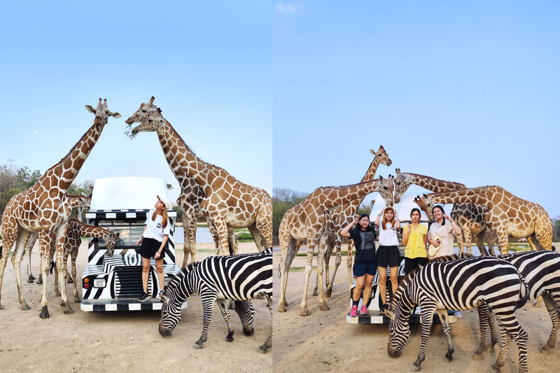 Bangkok Safari Park Kanchanaburi Full-Day Private Tour - What the price covers, and what it doesn’t