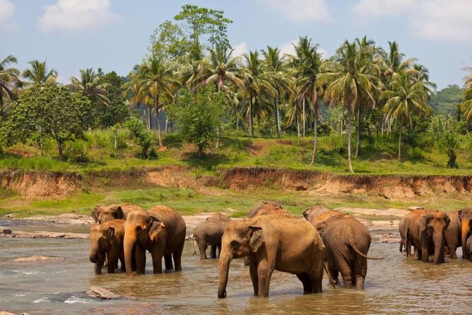 Bangkok: Safari World & Marine Park - Good To Know