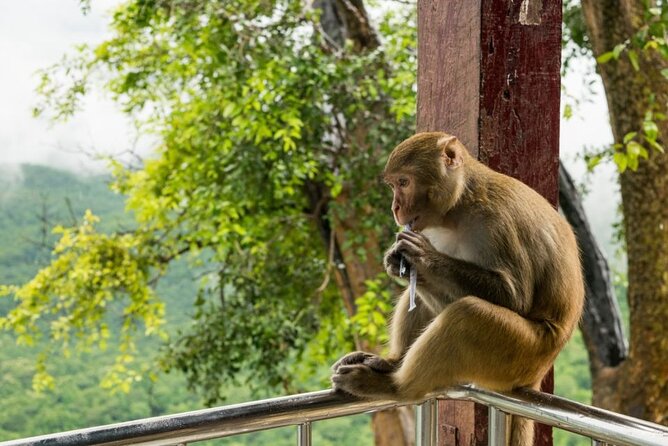 Bangkok: Safari World & Marine Park - Group Size and Exclusivity