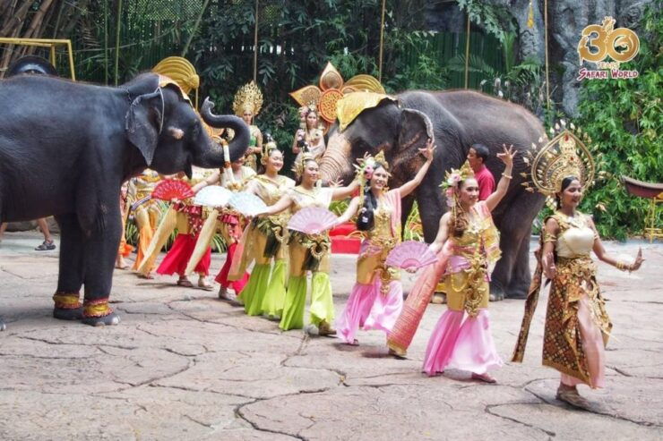 Bangkok: Safari World & Marine Park With Lunch and Transfer - Activity Details