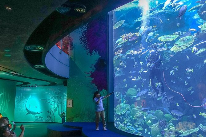 Bangkok Sea Life Aquarium and Madame Tussauds - Pricing and Savings