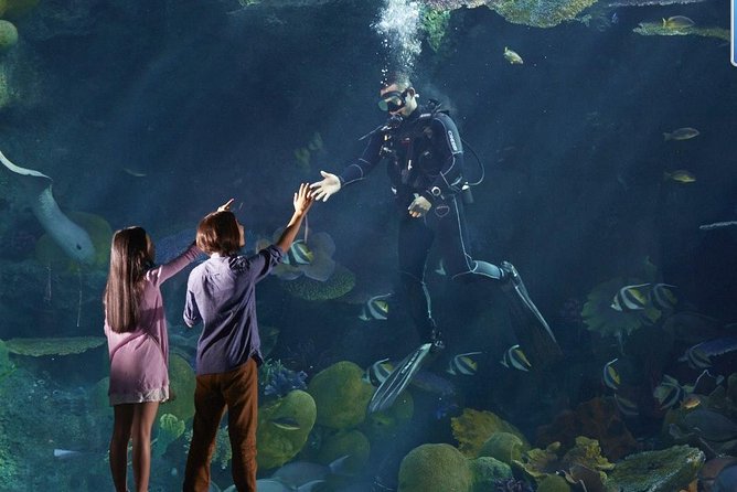 Bangkok Sea Life Ocean World Entrance Tickets Only - Ticket Details and Inclusions