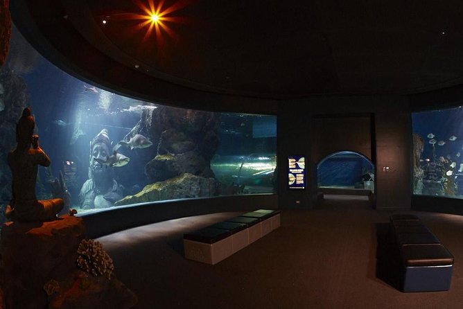 Bangkok Sea Life Ocean World Entrance Tickets Only - Terms and Conditions