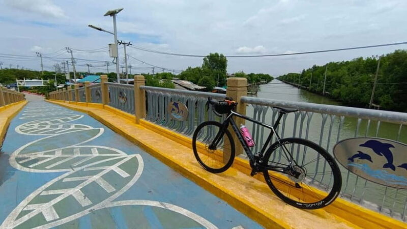 Bangkok: Seaside Views Cycling Tour via Mangrove Tunnel - An In-Depth Look at the Tour Experience