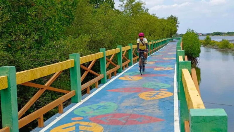 Bangkok: Seaside Views Cycling Tour via Mangrove Tunnel - A Closer Look at the Itinerary
