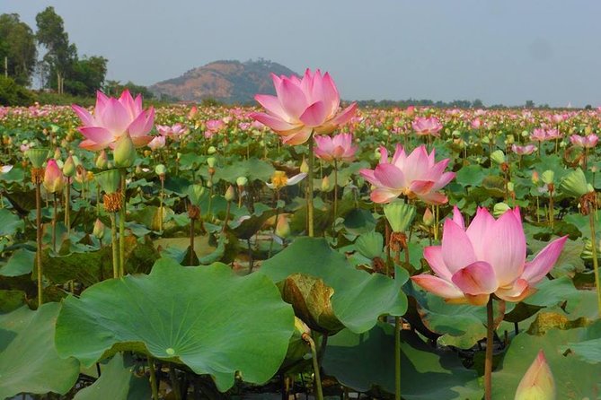 Bangkok to Angkor Wat Tour 2 Days 1 Night From Bangkok - Recommendations and Overall Experience