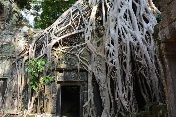 Bangkok to Angkor Wat Tour 2 Days 1 Night From Bangkok - The Sum Up