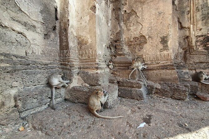 Bangkok to Ayutthaya Lopburi Monkey Temple, Largest Buddha Tour - Exploring the Itinerary in Detail