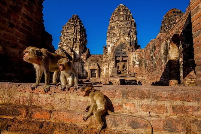 Bangkok to Ayutthaya Lopburi Monkey Temple, Largest Buddha Tour - Good To Know