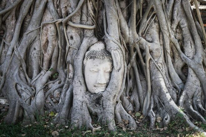 Bangkok to Ayutthaya: UNESCO Heritage Site and Temples Tour - Questions You May Have