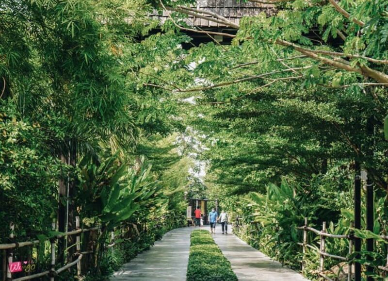 Bangkok to DuBua Café & Amphawa Private Day Trip - The Details of the Tour Experience