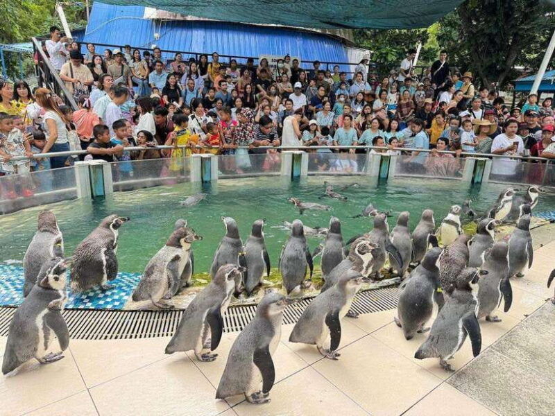 Bangkok to Moo Deng: Private Transfer To Khao Kheow Zoo - Exploring Khao Kheow Open Zoo