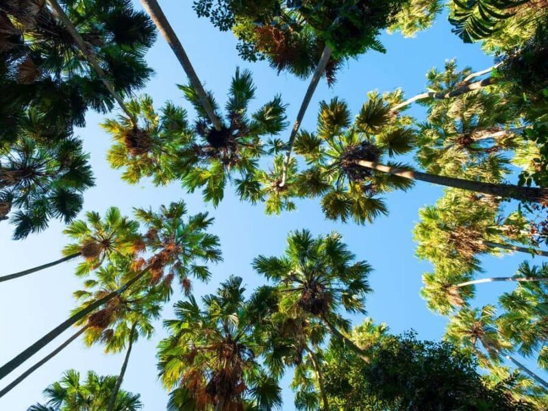 Bangkok: Uthai Thani Day Trip with Floating Temple Visit - FAQ