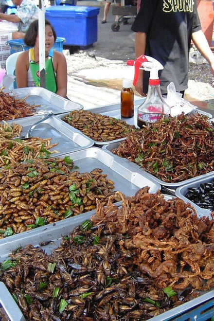 Bangkok Walking Secret Food and Ice Cream Tour - What to Bring