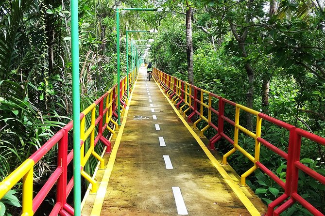 Bangkok's Hidden Oasis : Explore Bangkoks Green Lung, Bang Krachao by Bike - Tips for Exploring Bang Krachao by Bike