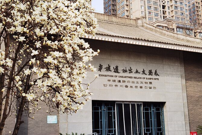 Banpo Museum English-speaking Guide Service - In-Depth Review of the Banpo Museum Tour