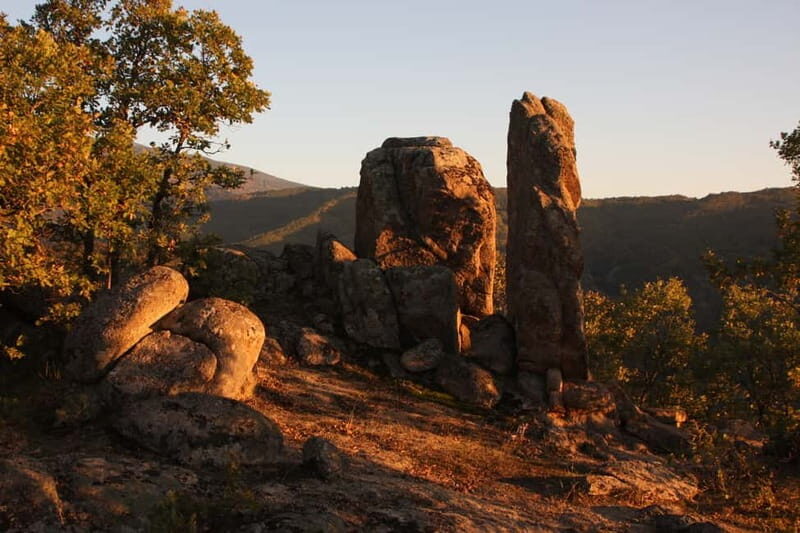 Bansko: Rare Bulgarian Pets Experience - Final Thoughts