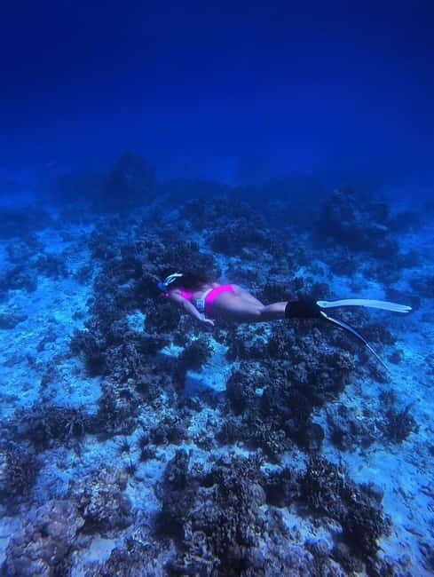 Bantayan Island: Fundive Freediving Excursion - What Is the Bantayan Island Fundive Freediving Excursion?