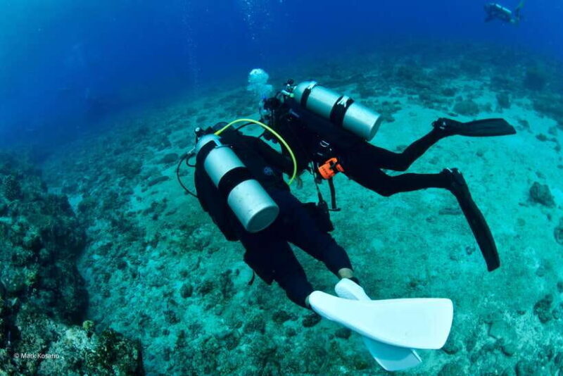 Bantayan Island: Fundive Scuba Adventure - The Dive Sites & Underwater Highlights