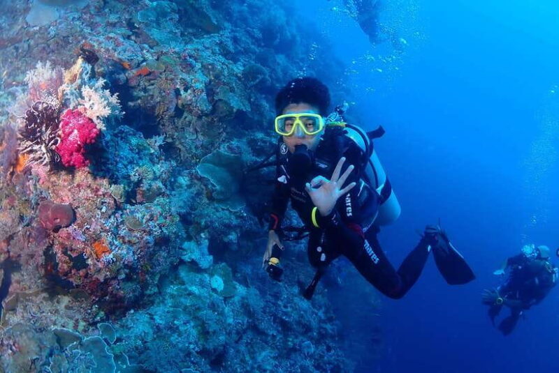 Bantayan Island: Fundive Scuba Adventure - An Inside Look at Bantayan Island’s Underwater Charms